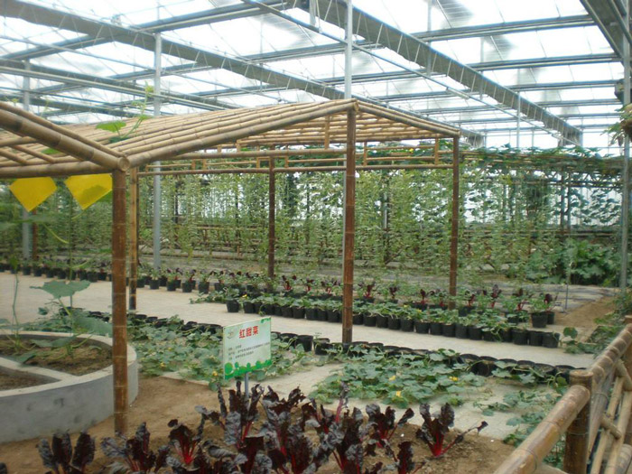 http://www.hcwww.cn/productDetails/wsdp-40.html